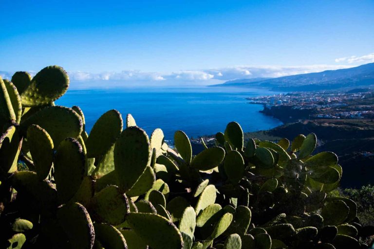 Finca_La_Espiral_11